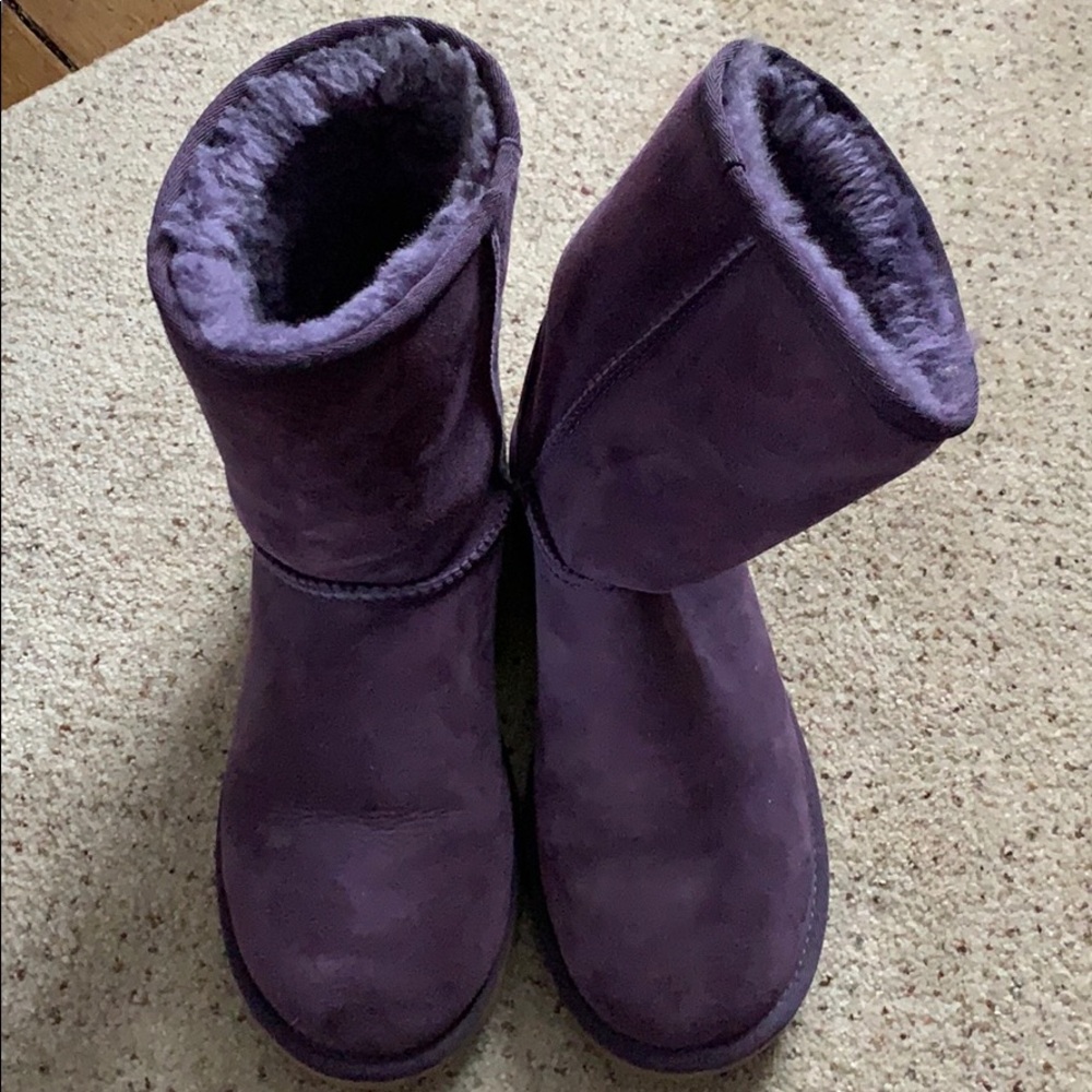 PURPLE UGGS!! Classic short style
